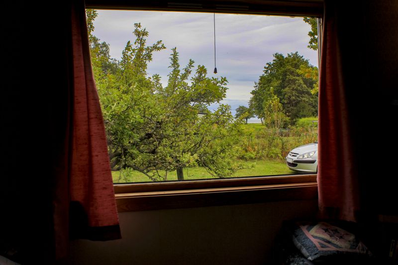 Best Window Replacement Contractors in Edwardsville, IL